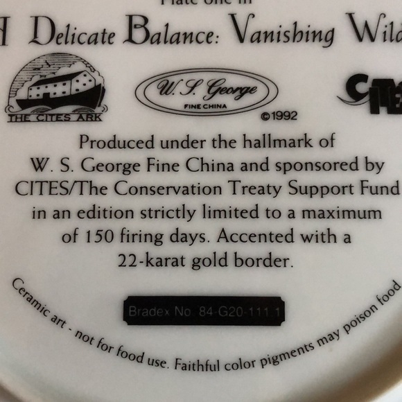 “Tomorrow’s Hope” Tiger Collectible - Picture 4 of 5